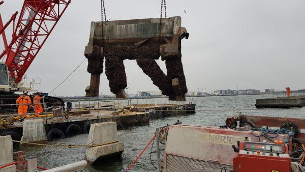 London City Airport, Dolphin 7